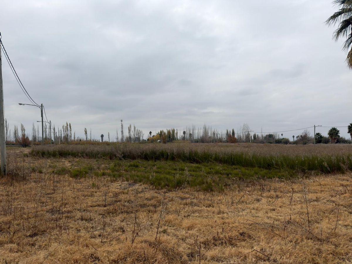 Foto de Lotes en Ruta 20, Corralitos - VENTA, imagen 4
