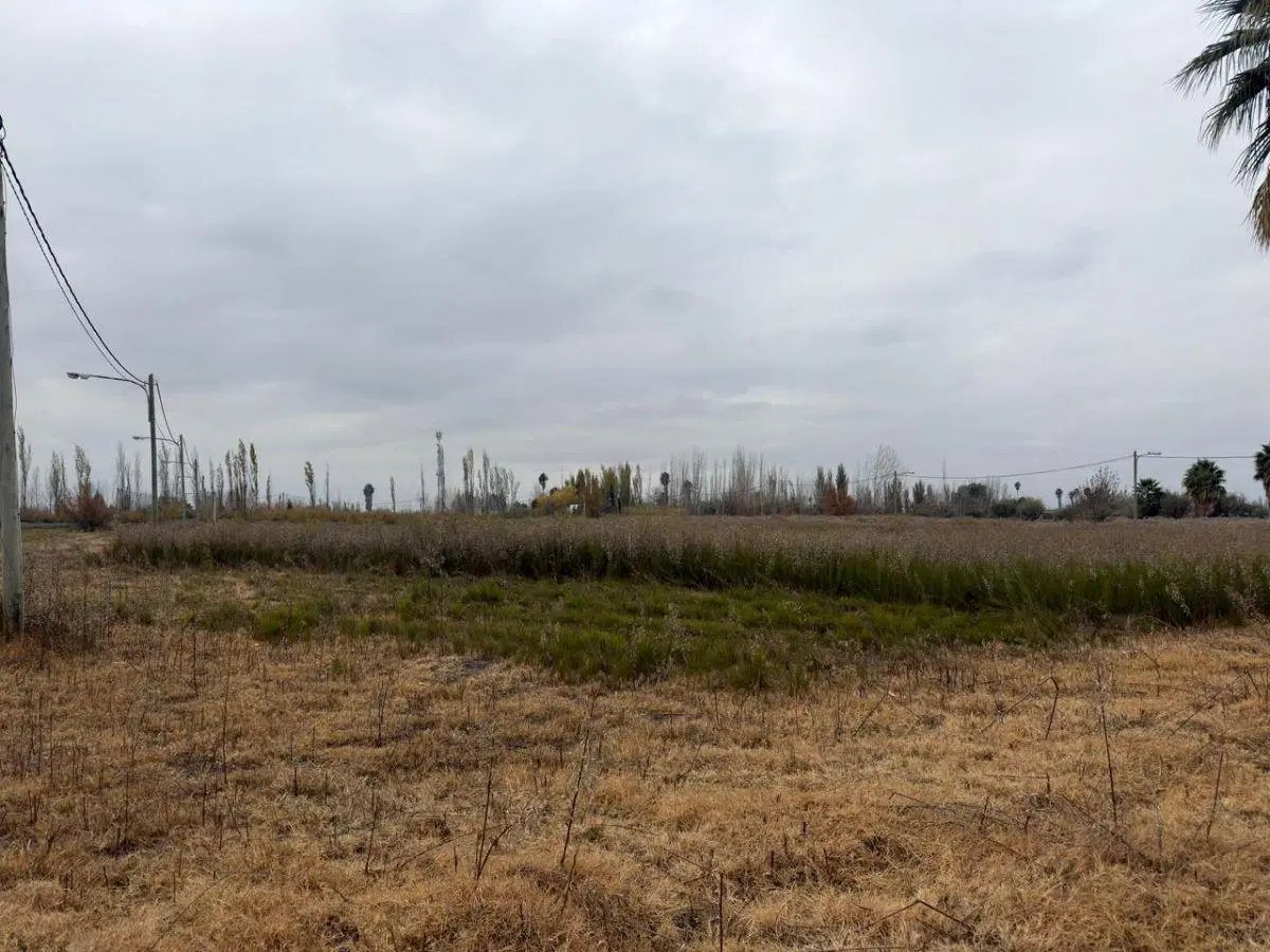 Lotes en Ruta 20, Corralitos - VENTA 5