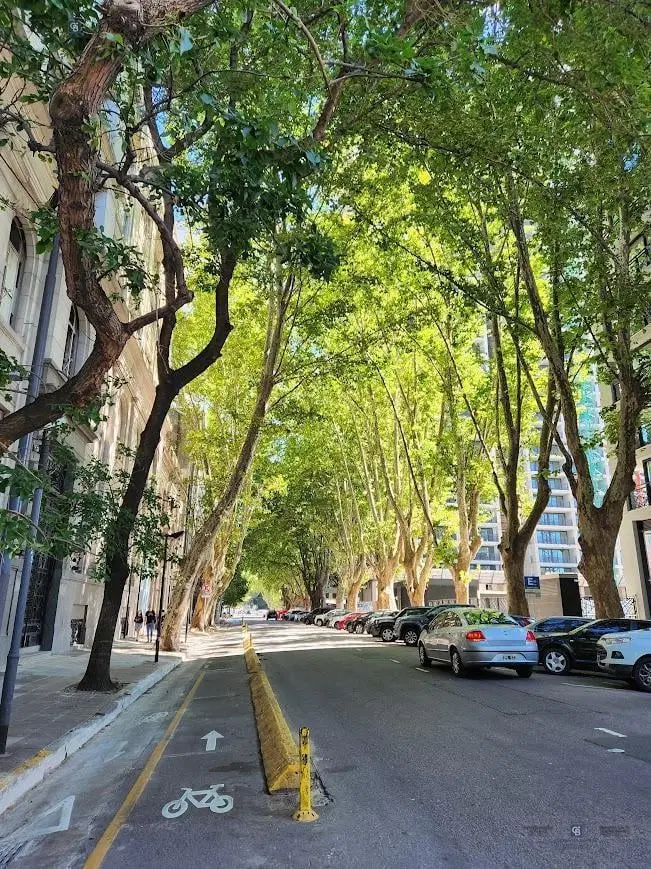 Departamento en Puerto Madero 4