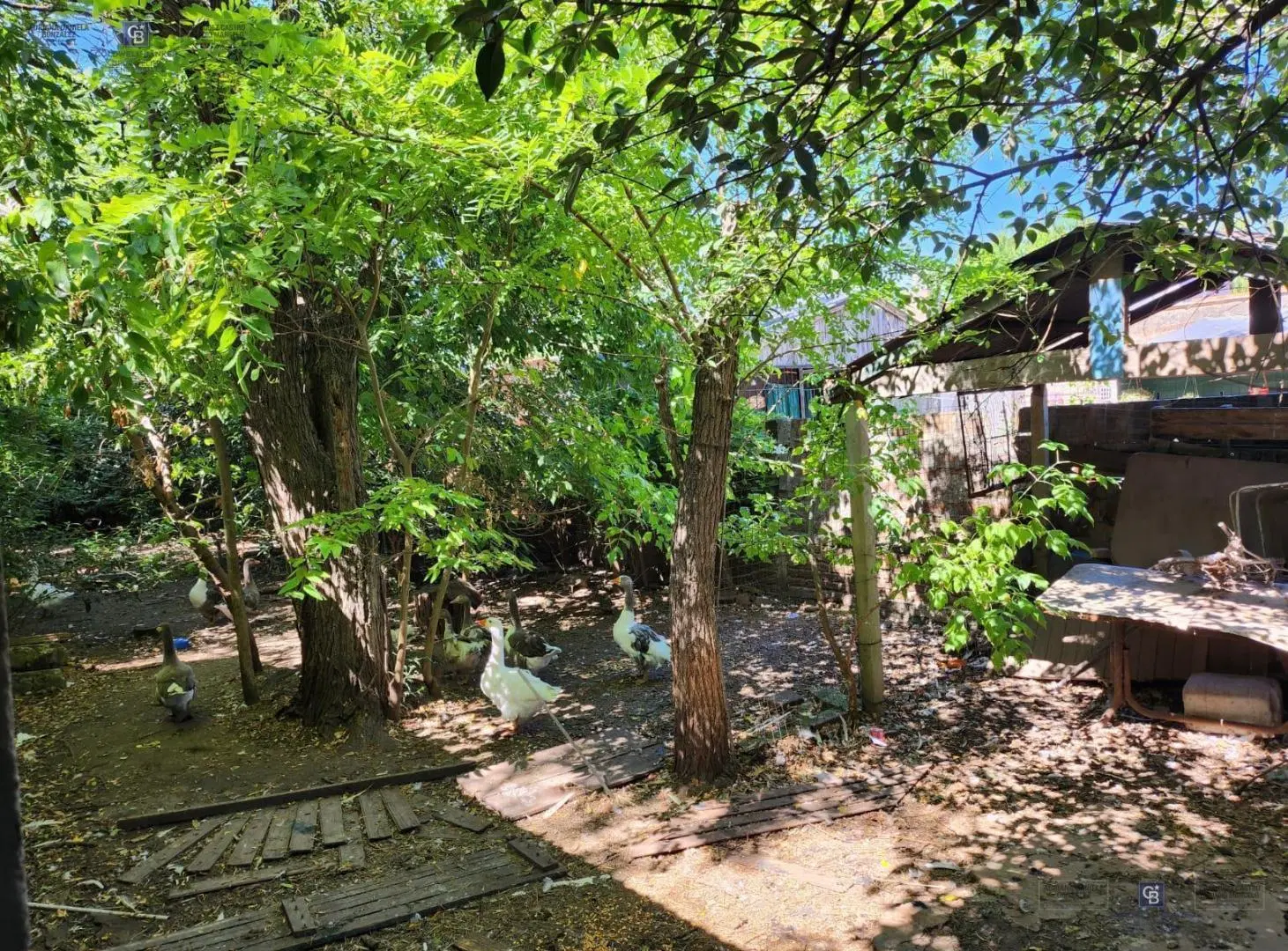VENDO CASA QUINTA EN EZEIZA. 2