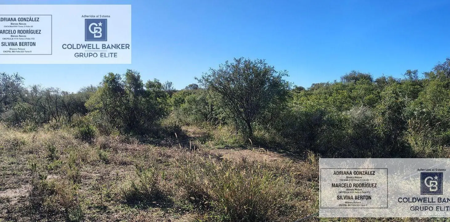 Terreno comercial en Nogoli 5