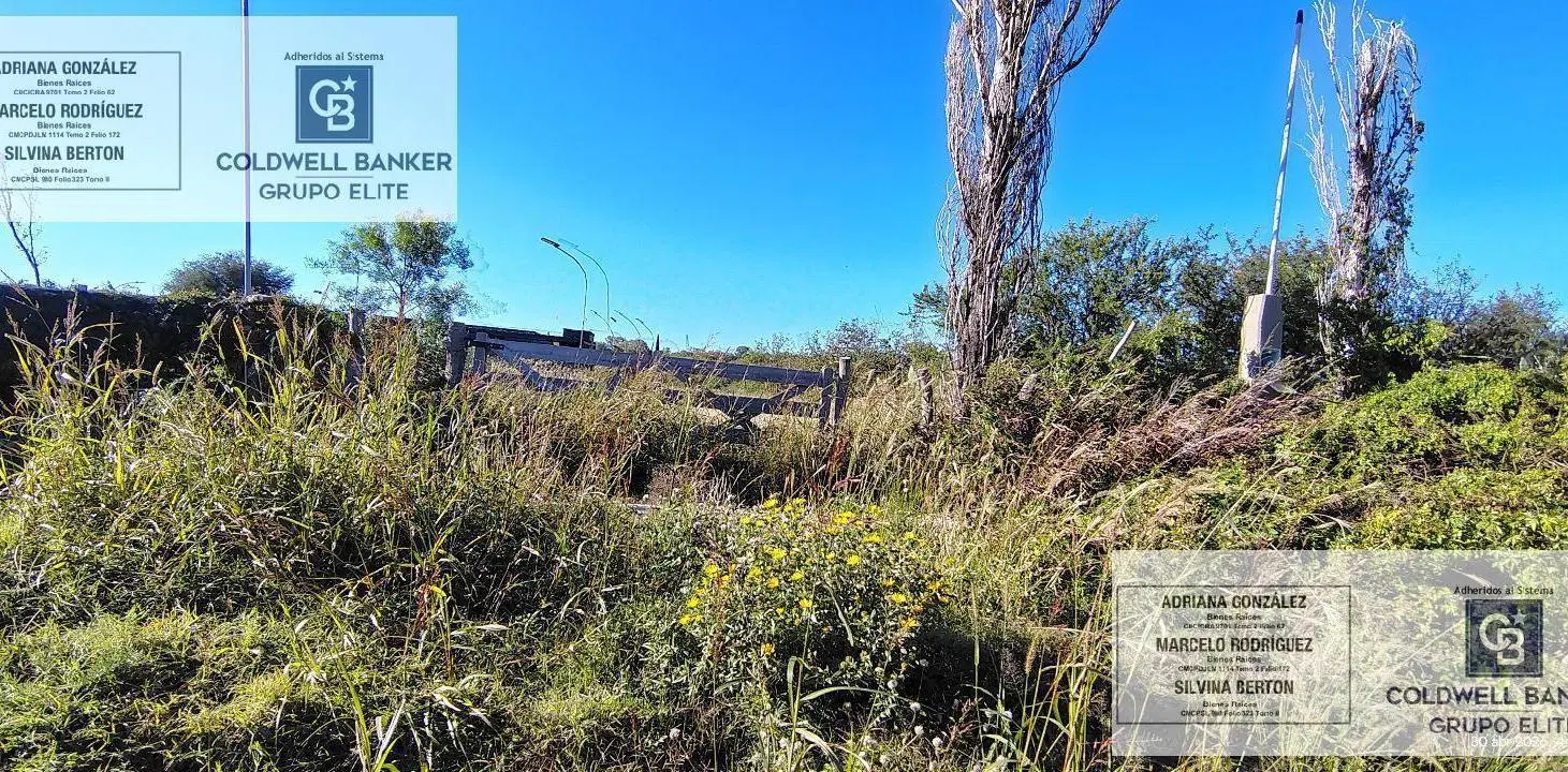 Terreno comercial en Nogoli 3