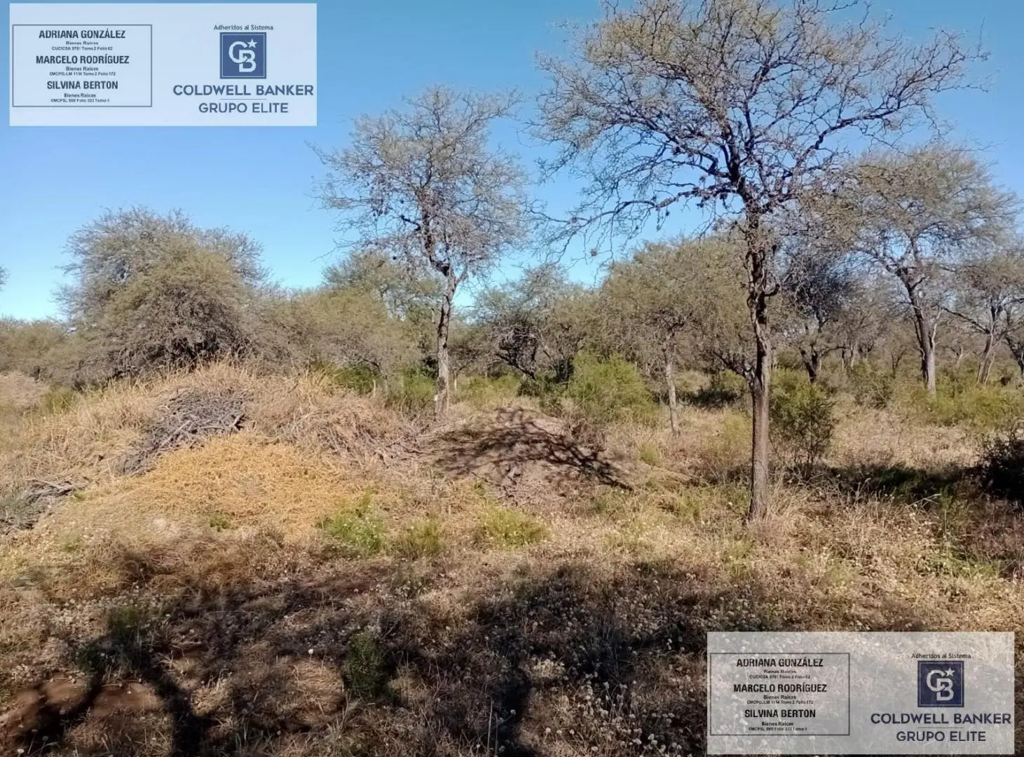 Terreno en venta  en Carpinteria san luis 4