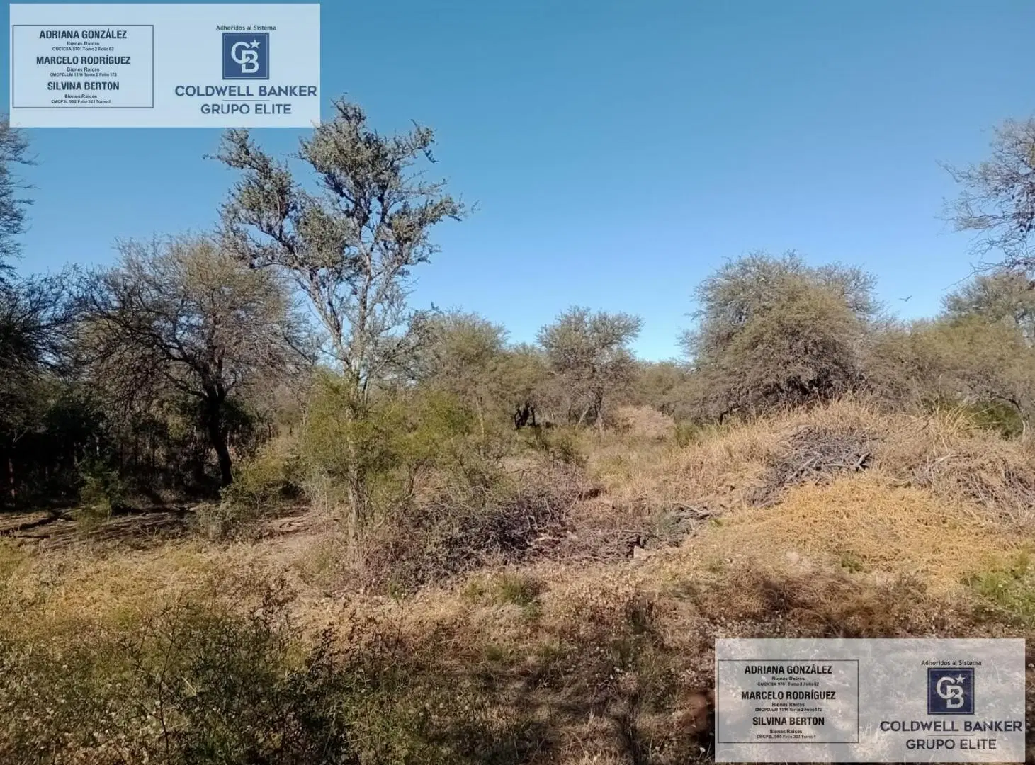 Terreno en venta  en Carpinteria san luis 5