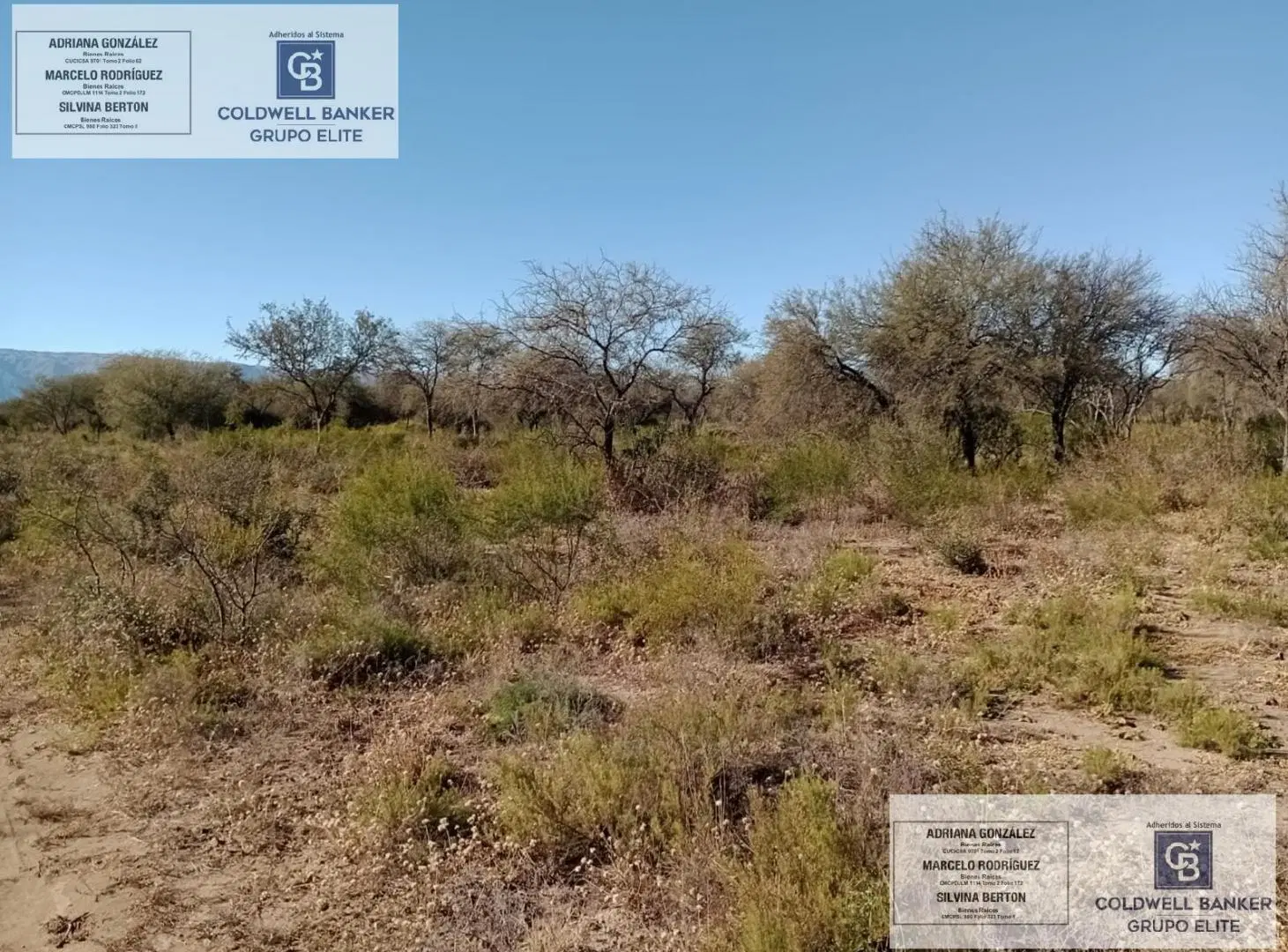 Terreno en venta  en Carpinteria san luis 3