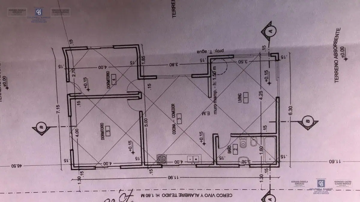 Plano 1