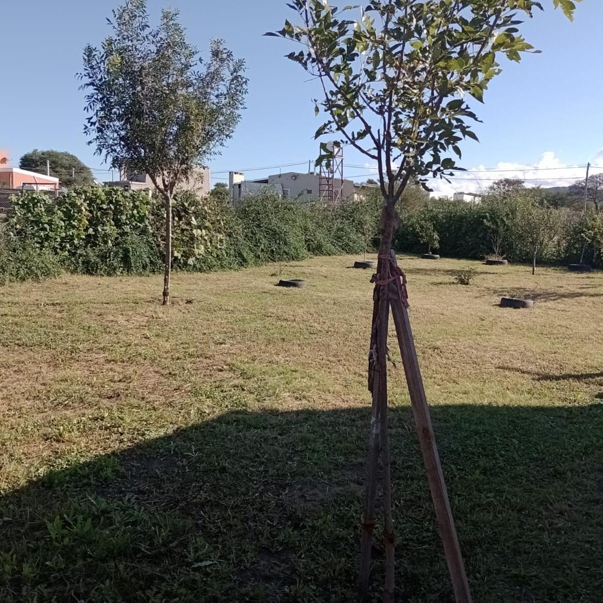 Casa en Ruero Sur Alta Gracia 5
