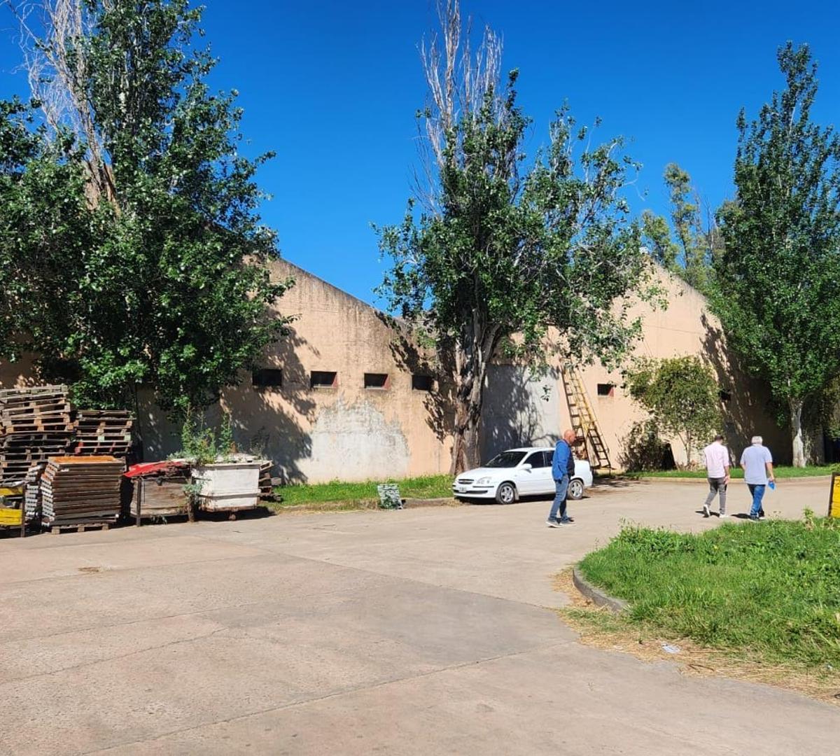3 Naves de 1200 m² - Juntas o Separadas 5