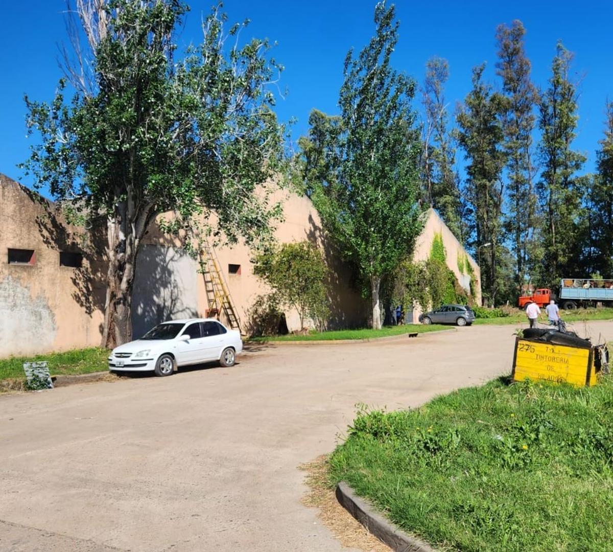 3 Naves de 1200 m² - Juntas o Separadas 4