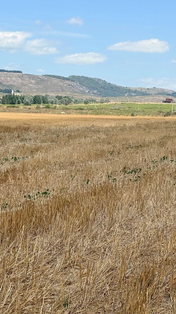 Terreno Fraccion  en Venta en Tandil, Resto de la Provincia, Buenos Aires
