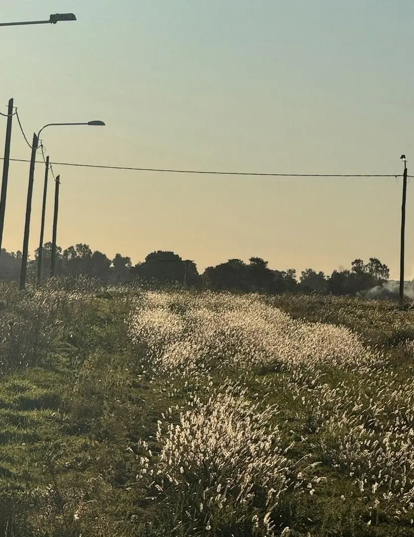 Terreno Lote en Venta en Tandil, Resto de la Provincia, Buenos Aires 1