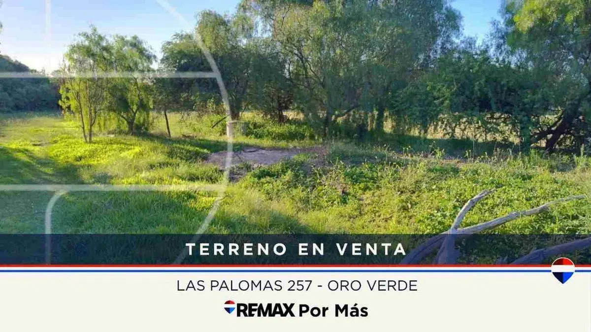 Lote 250m² en Oro Verde 5