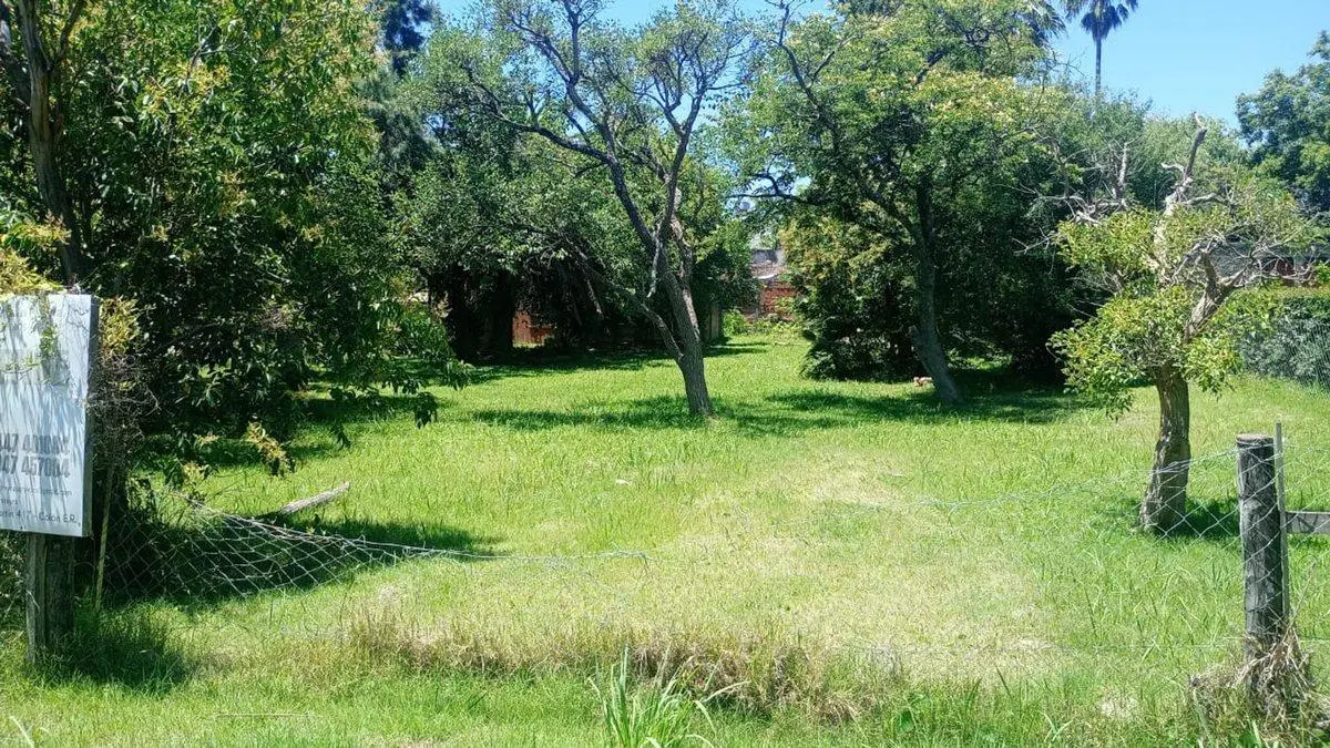 Gran terreno de 1800 m2 excelente ubicación, Colón 4