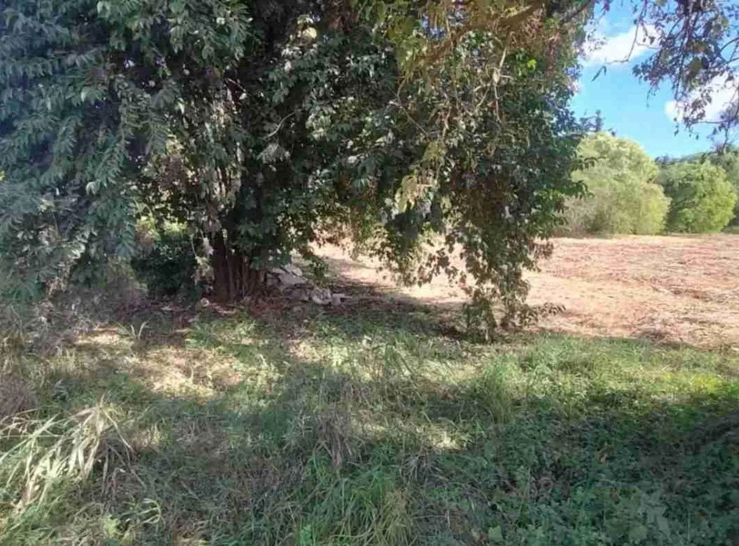 Terreno de más de 900 m2 casi Acceso Norte, Paraná 3