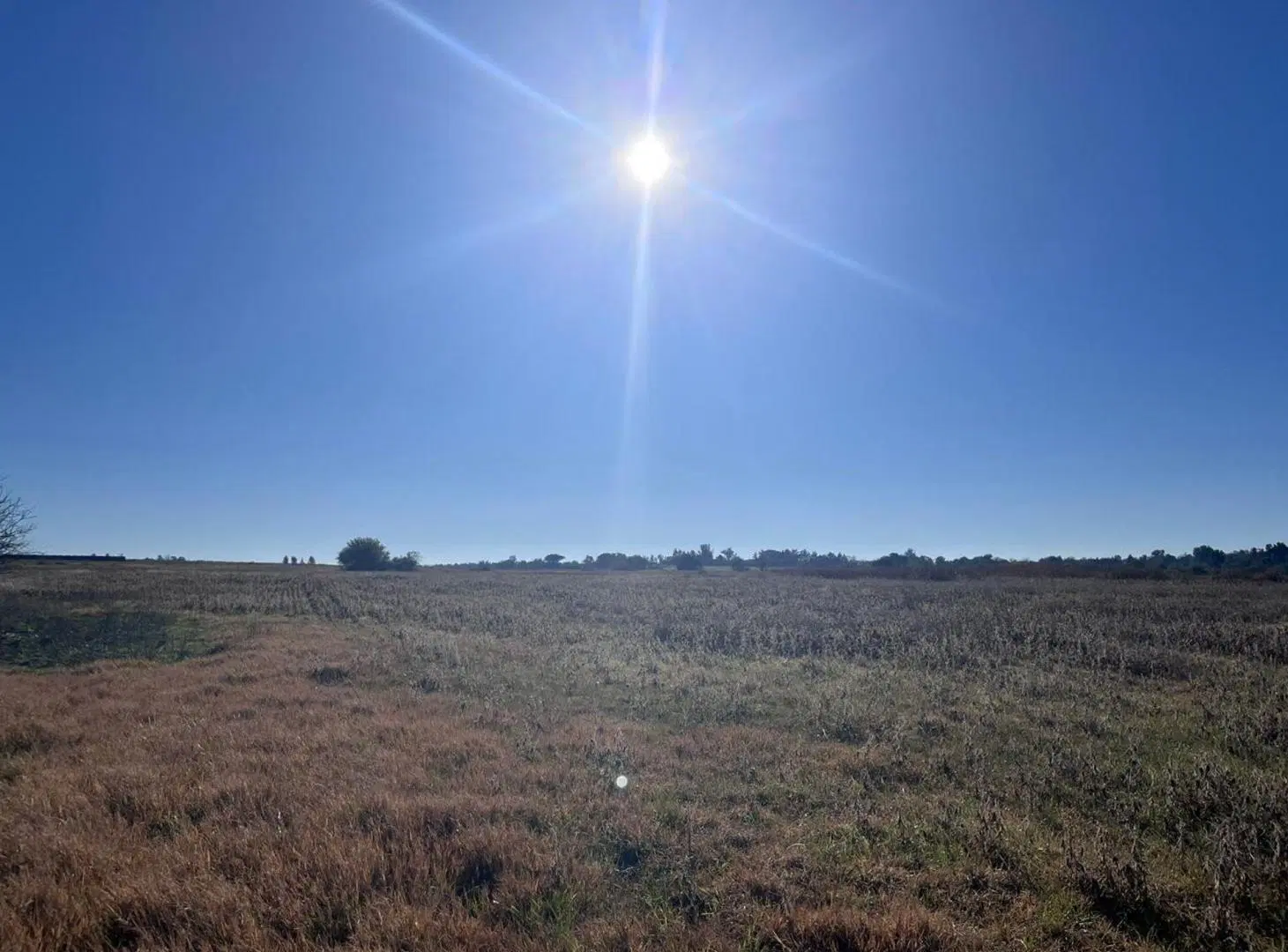 Campo 10 Has en cercanías a la ciudad de Ramírez 5