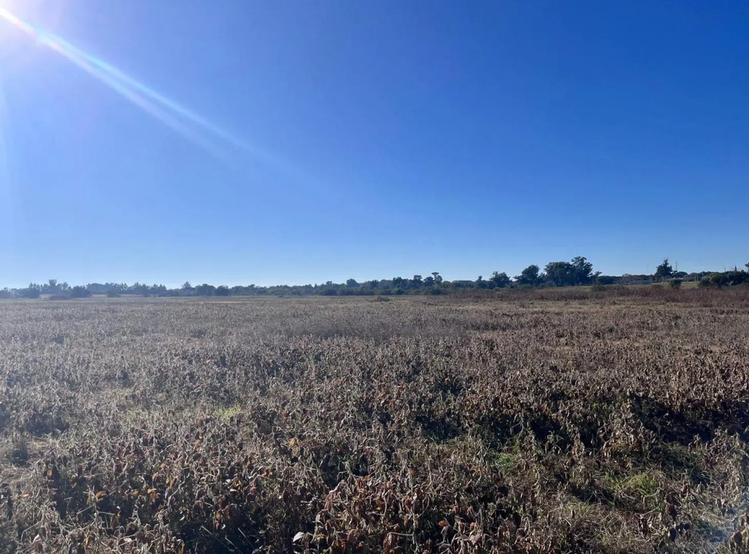 Campo 10 Has en cercanías a la ciudad de Ramírez 4