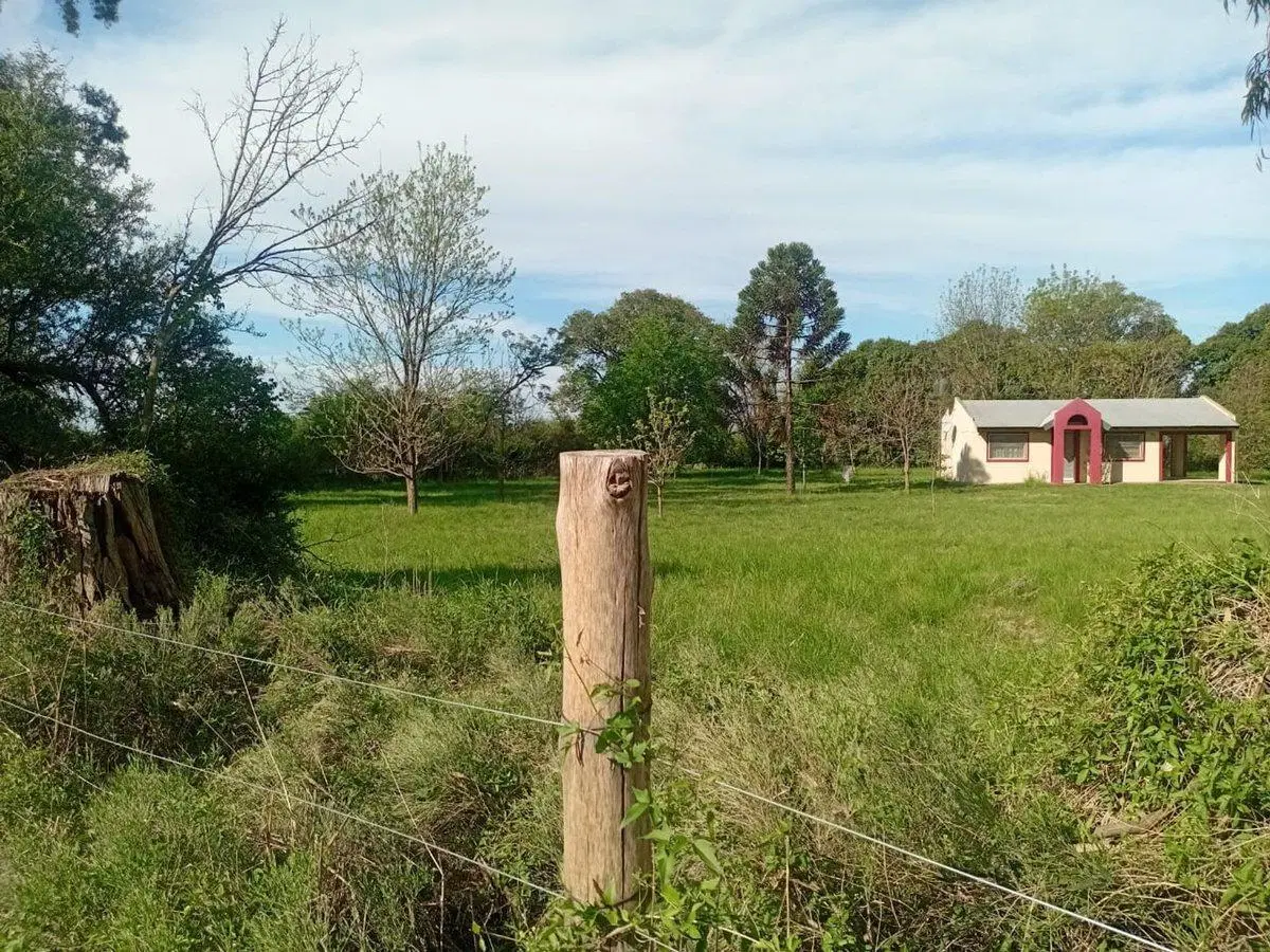 Chaca en Rosario de Tala 2