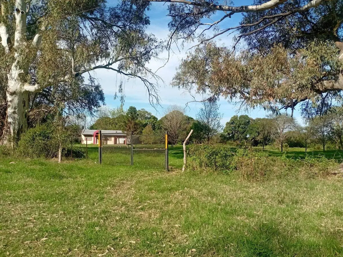 Chaca en Rosario de Tala 5
