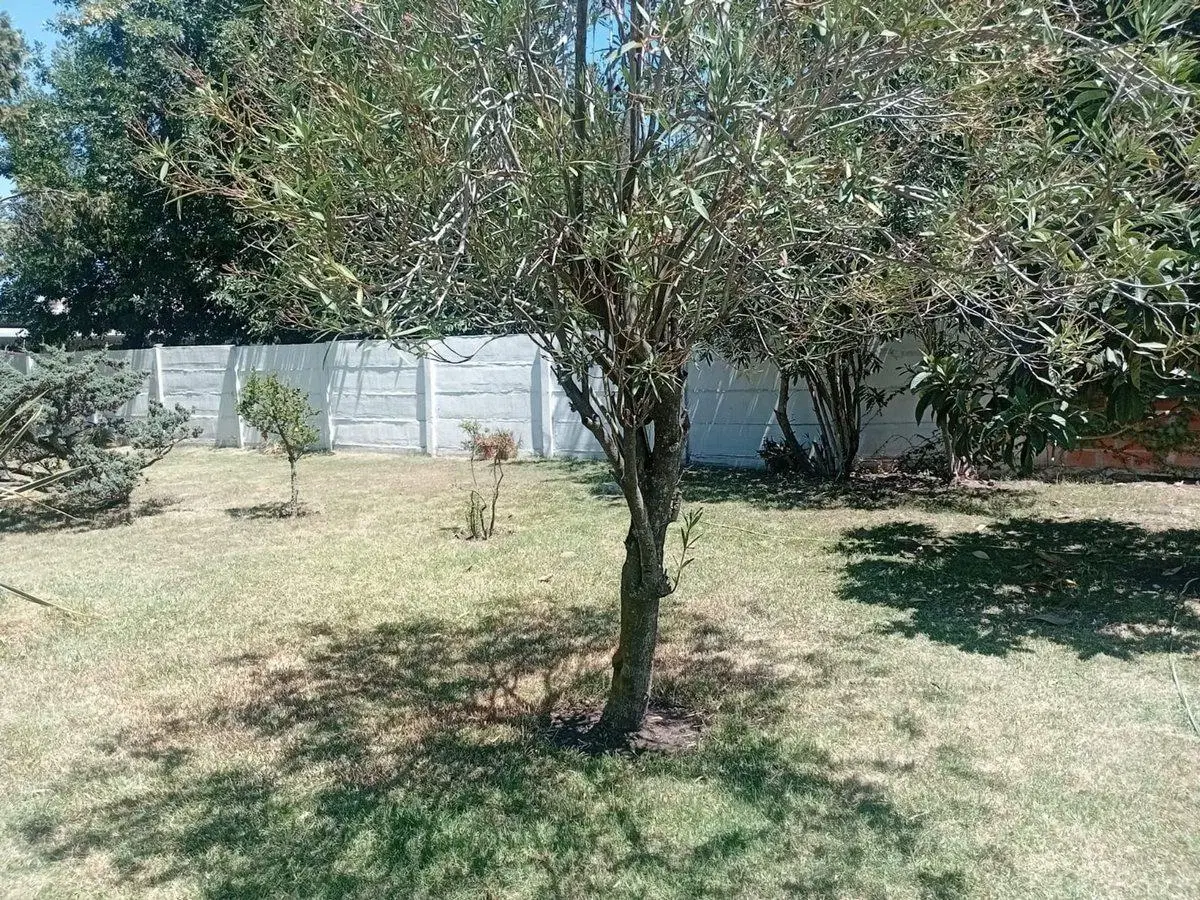 Casa impecable, gran terreno y pileta, Gualeguay 5