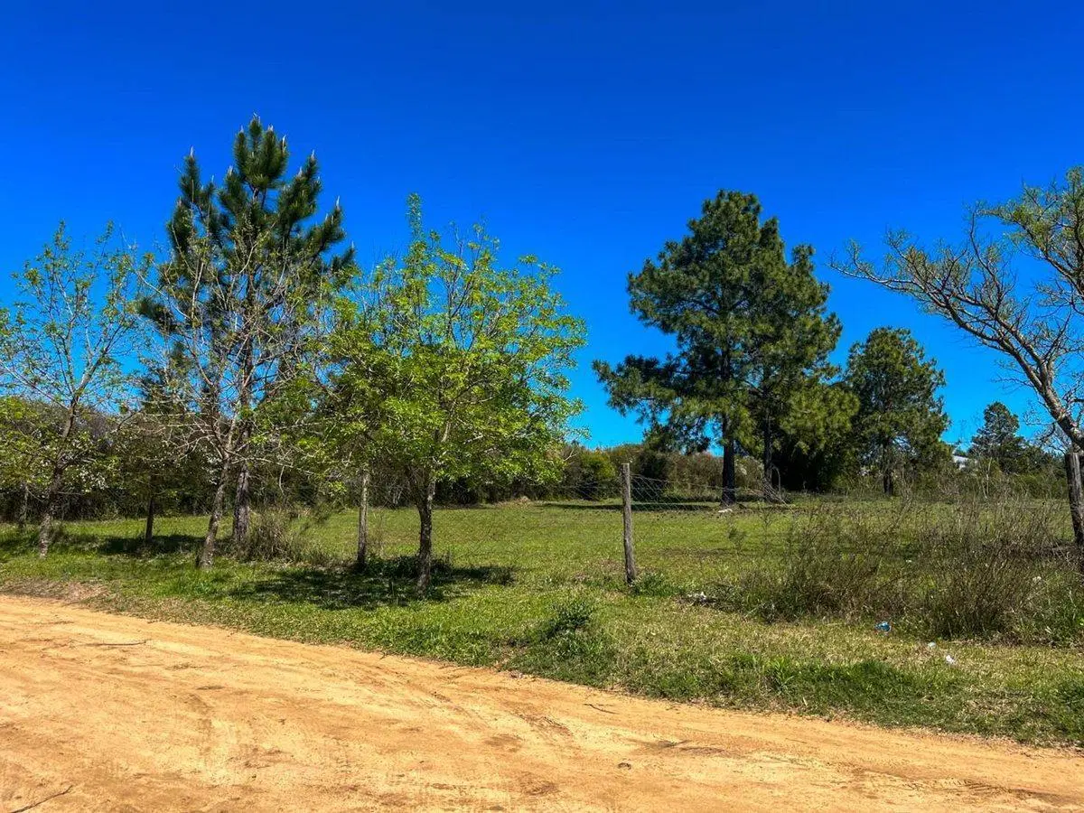 Gran terreno en zona Golf - Concordia 2