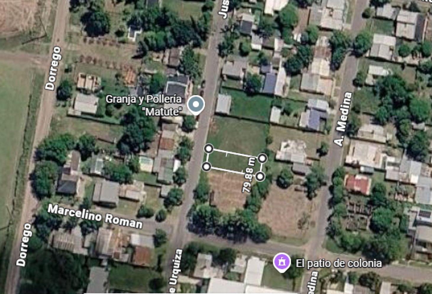 Gran lote 300 m2 bien ubicado, Colonia Avellaneda