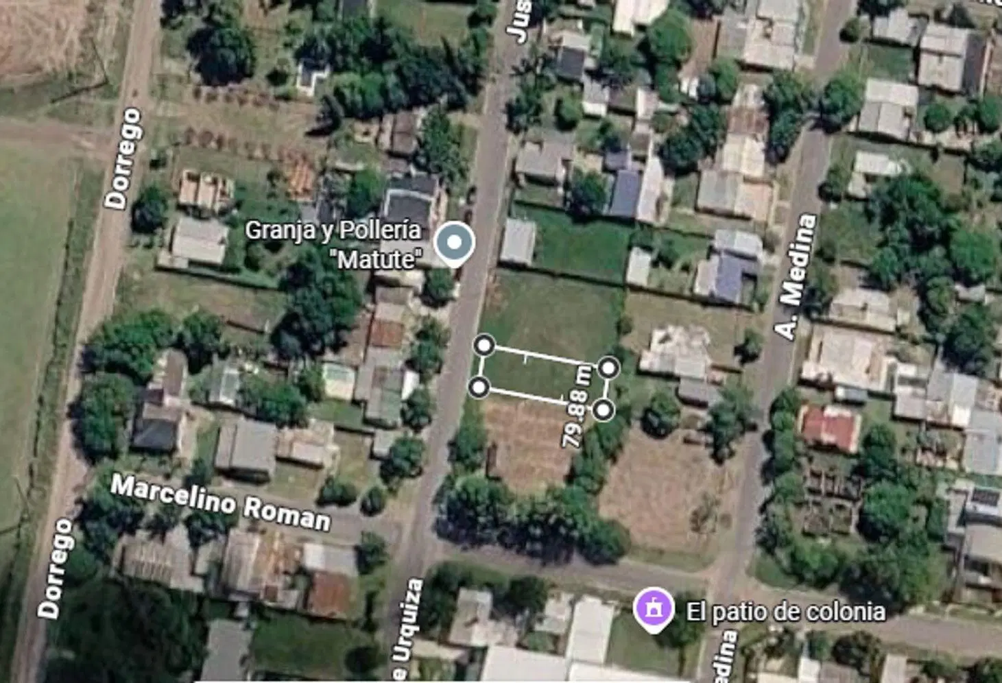 Gran lote 300 m2 bien ubicado, Colonia Avellaneda 5