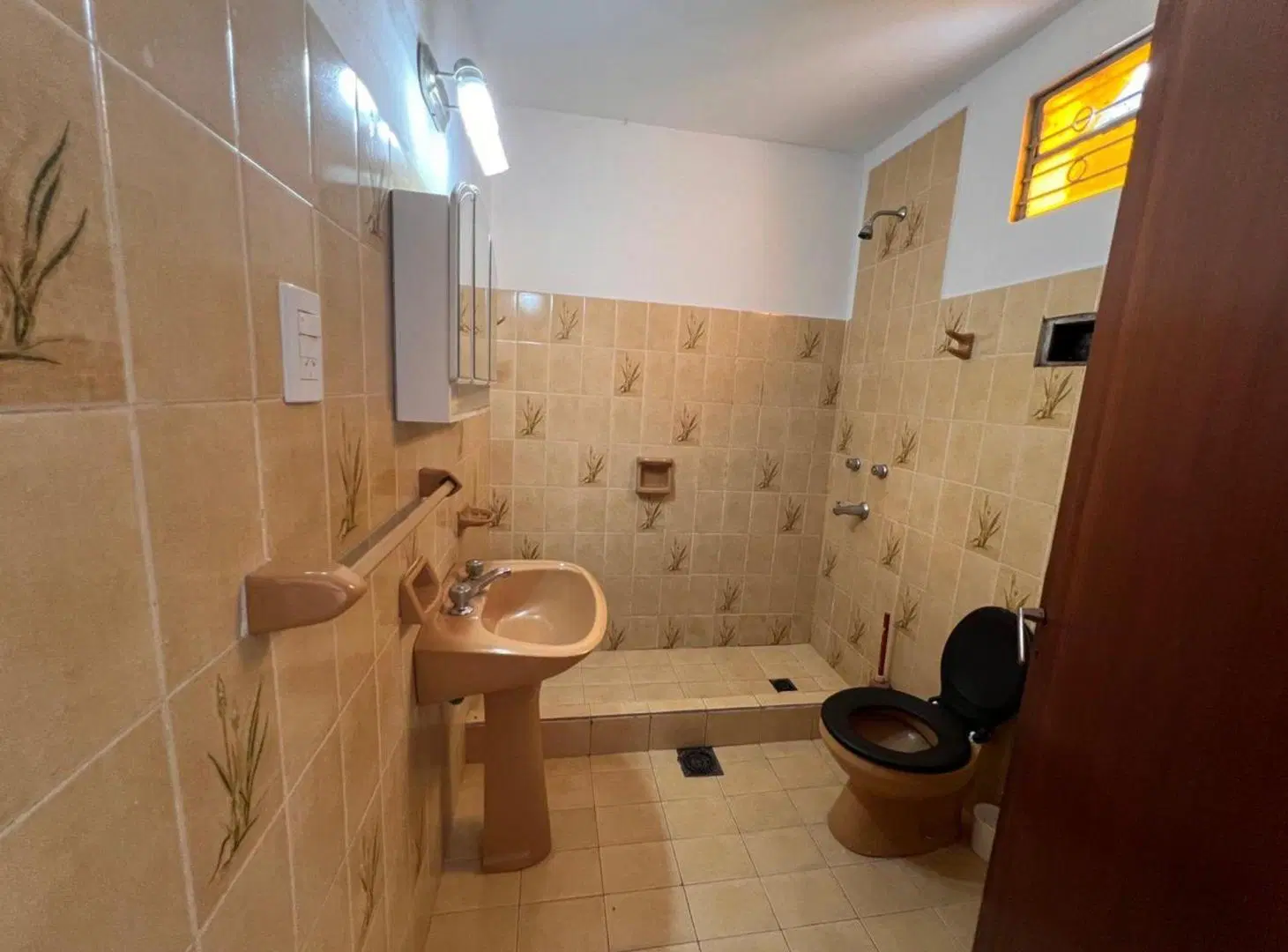 Casa con local comercial  Av. Churruarín, Paraná 4