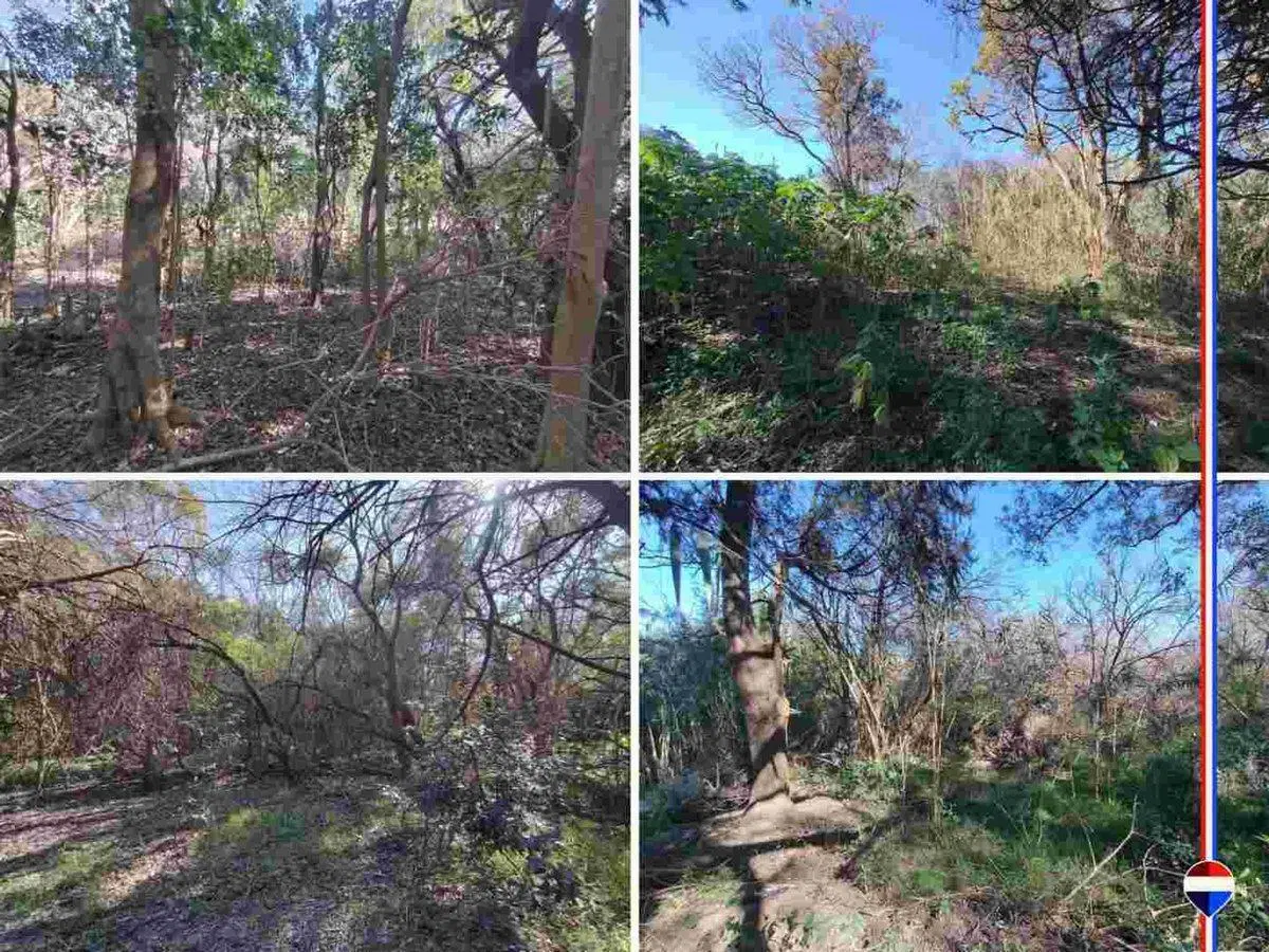 OPORUNIDAD! Gran Terreno de 6000m al Sur de Paraná 5