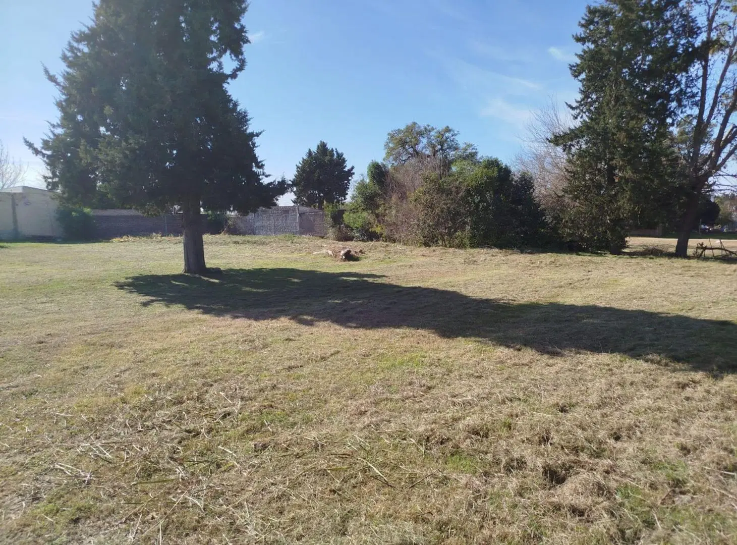 Terreno de 900 m2 en Colonia Avellaneda 8