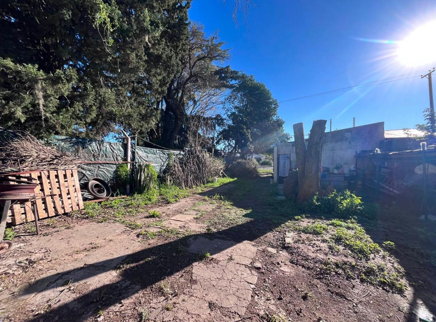 Foto de Dos casas a reciclar en un amplio terreno, imagen 4