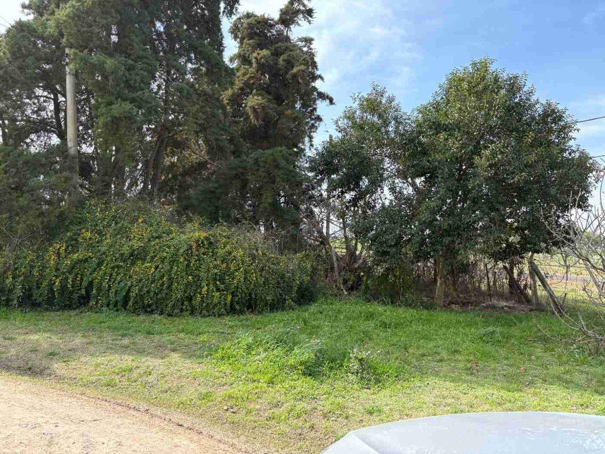 Foto de Lote en esquina 670 m2 arbolado, zona autódromo, imagen 2