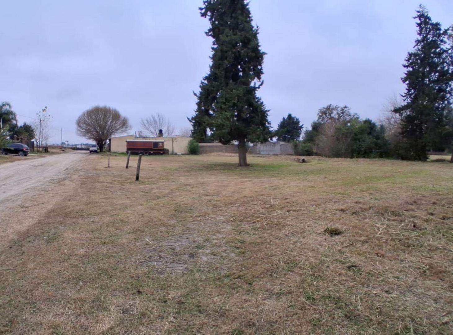 Foto de Terreno 900 m2 en zona de quintas, C Avellaneda, imagen 4