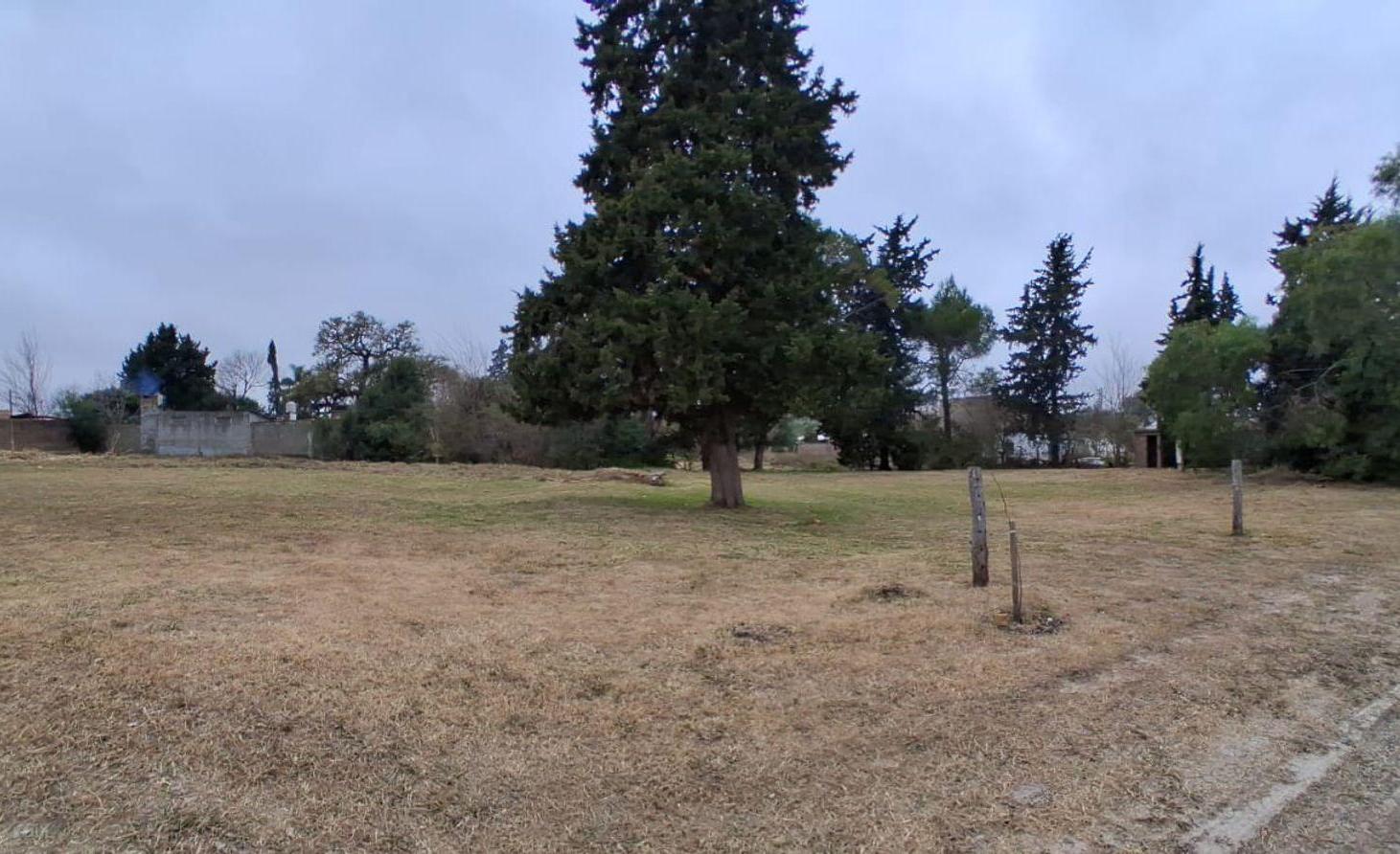 Foto de Terreno 900 m2 en zona de quintas, C Avellaneda, imagen 2