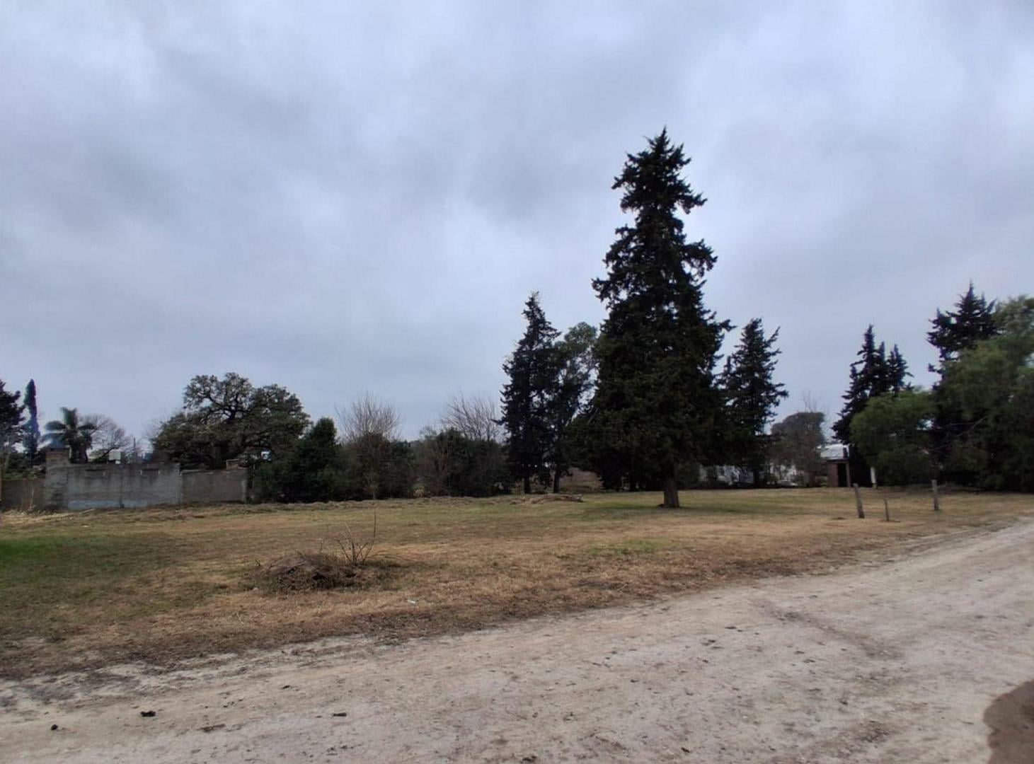 Foto de Terreno 900 m2 en zona de quintas, C Avellaneda, imagen 5