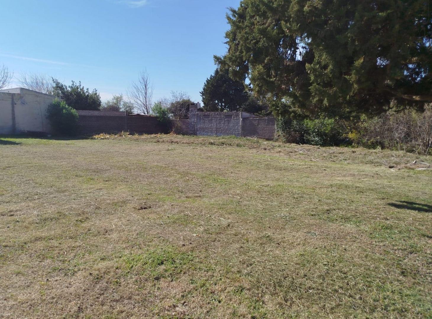 Foto de Terreno 900 m2 en zona de quintas, C Avellaneda, imagen 3