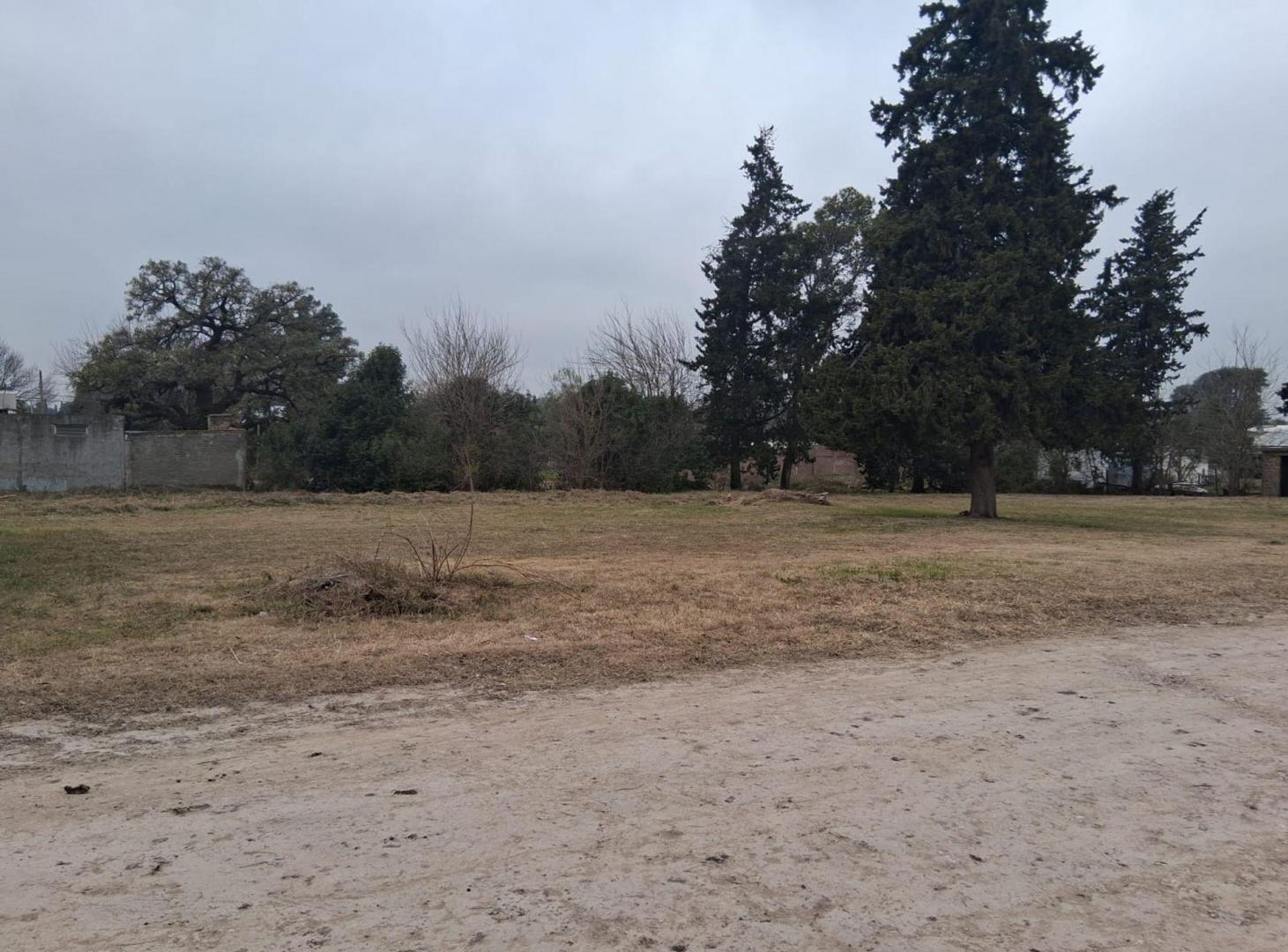 Foto de Terreno de 900 m2 en Colonia Avellaneda, imagen 1