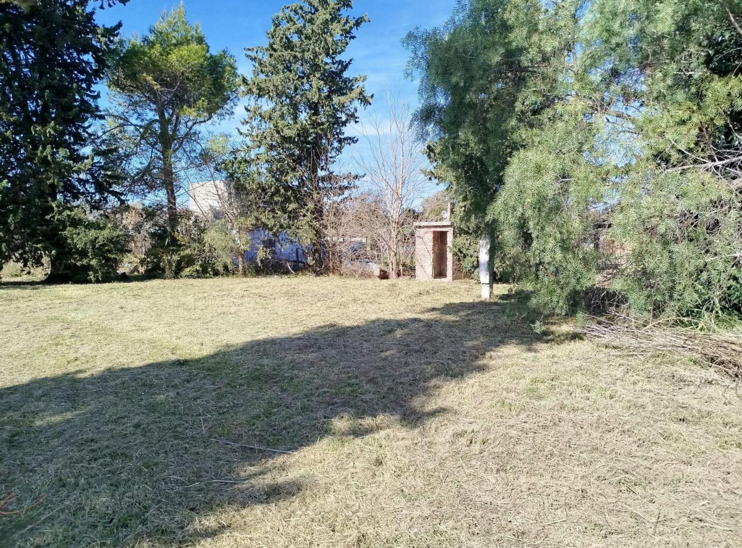 Foto de Terreno de 900 m2 en Colonia Avellaneda, imagen 2