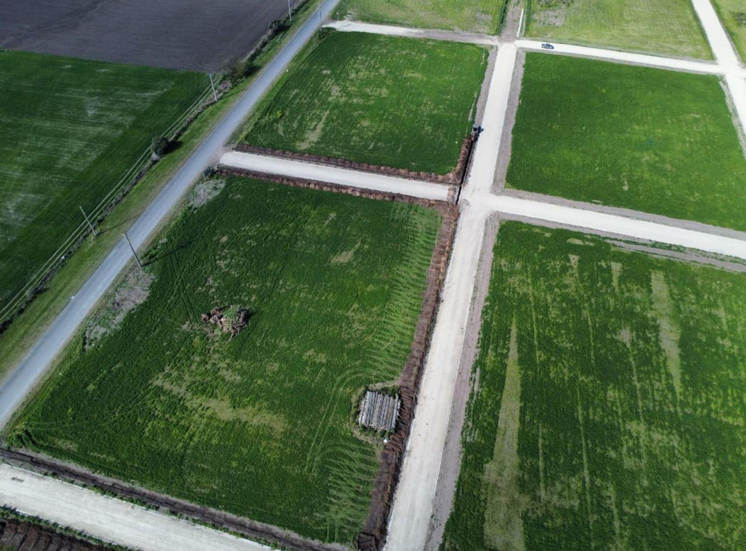 Foto de Lote de 300 m2 en Las Colinas, Colonia Ensayo, imagen 3