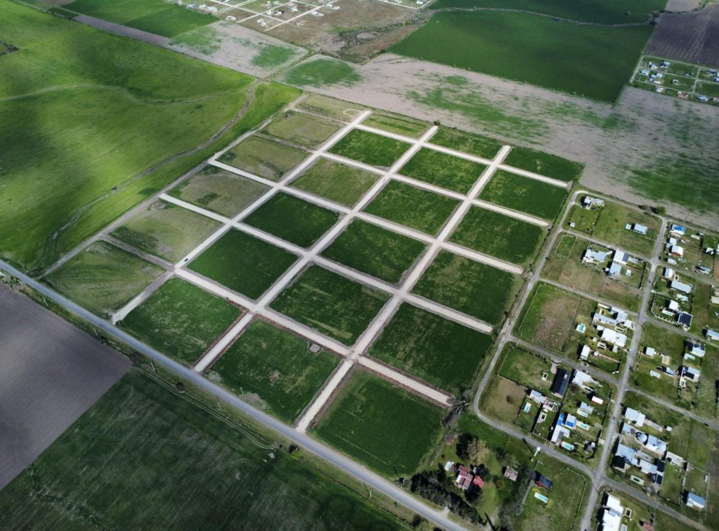 Foto de Lote de 300 m2 en Las Colinas, Colonia Ensayo, imagen 1
