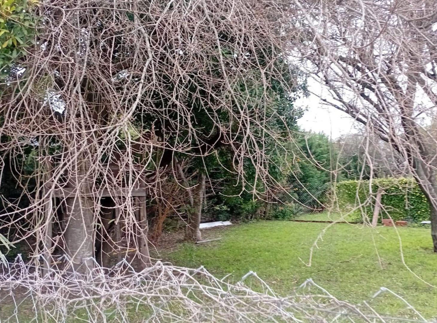 Foto de Casa 2 dormitorios y gran terreno, Oro Verde, imagen 3