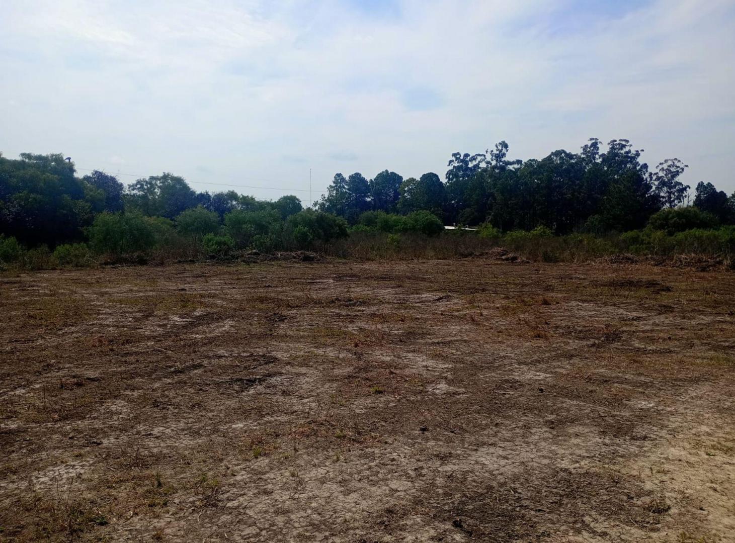 Foto de Gran terreno de 10.000 m2, zona Aeropuerto Paraná, imagen 1