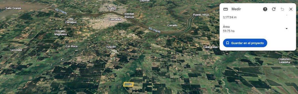 Foto de 60 Has de campo forestal en Concordia, imagen 4
