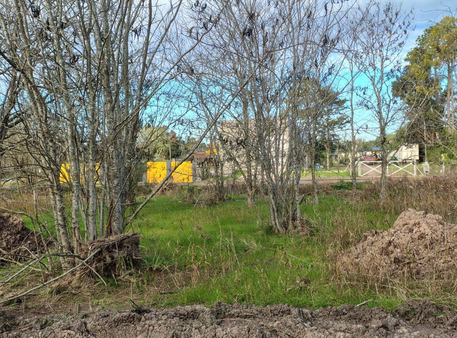 Foto de Gran terreno de 2.883m2 R 12, Colonia Avellaneda, imagen 4