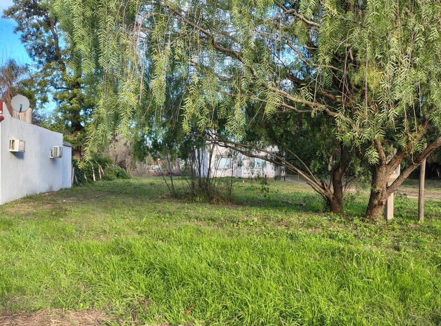 Foto de Gran terreno de 2.883m2 R 12, Colonia Avellaneda, imagen 5