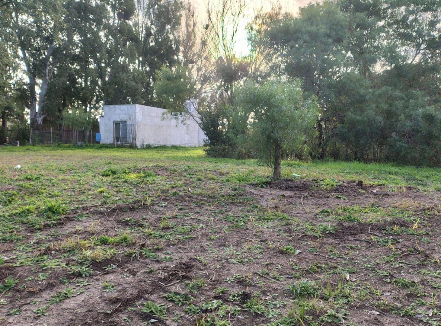 Foto de Gran terreno de 2.883m2 R 12, Colonia Avellaneda, imagen 3