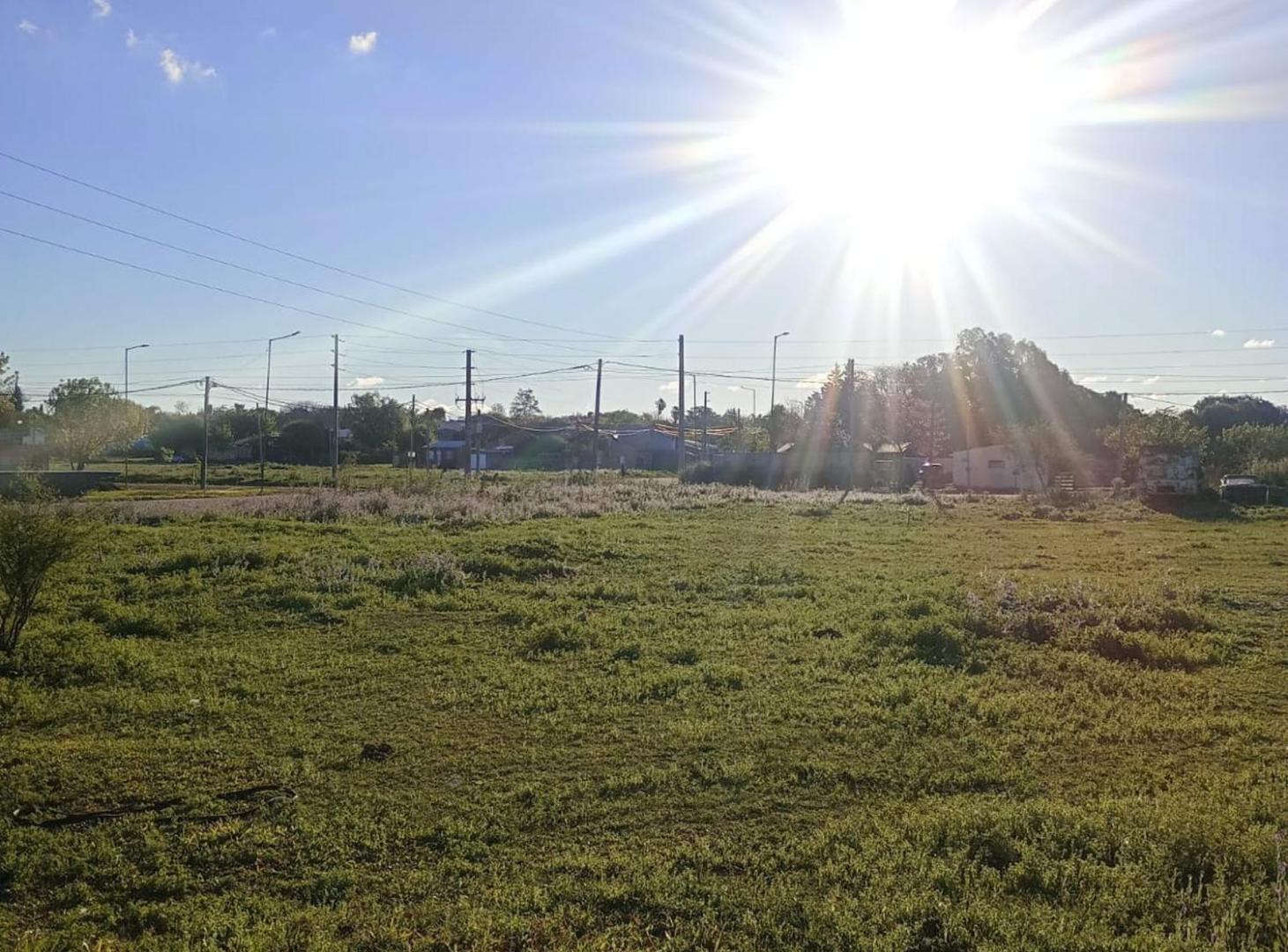Foto de Lote de 250 m2 en San Benito, imagen 1