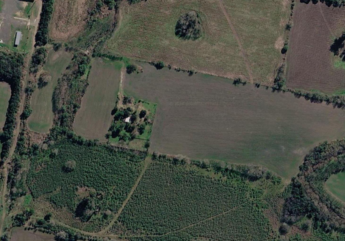 Foto de Campo 9.45 Ha. Agrícolas + Casa Acceso Norte, imagen 3