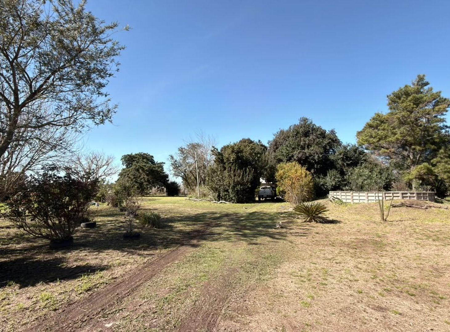 Foto de Campo 9.45 Ha. Agrícolas + Casa Acceso Norte, imagen 5
