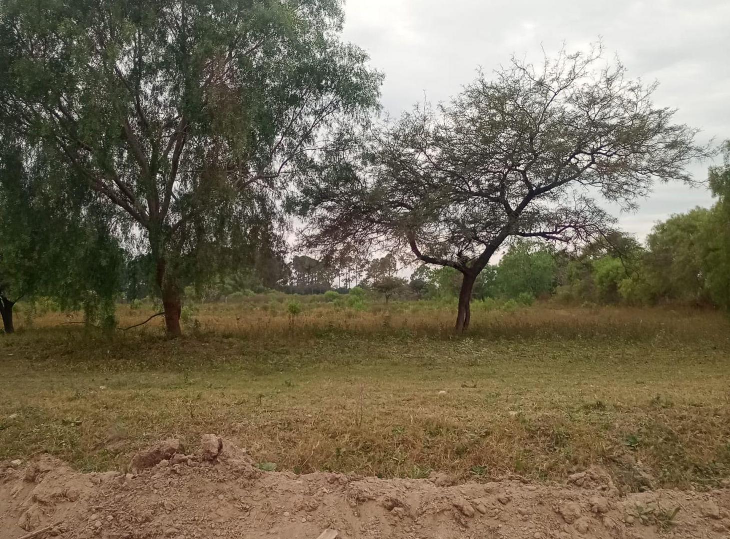 Foto de Gran lote en zona de expansión de Paraná, imagen 3