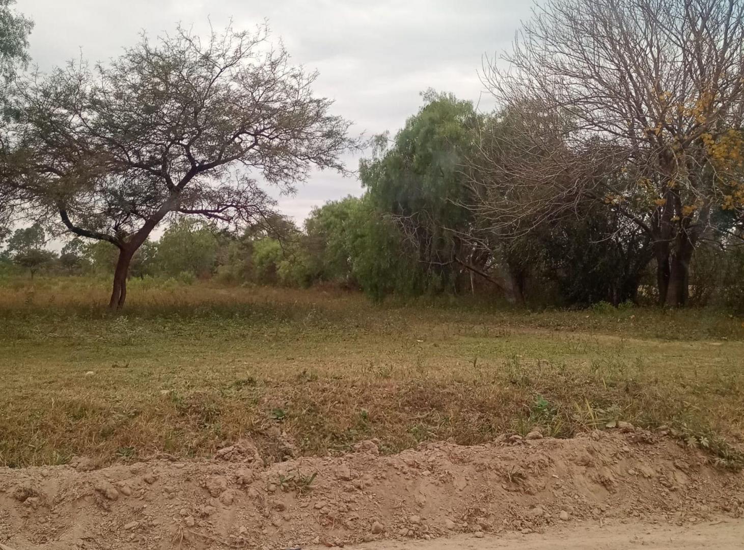 Foto de Gran lote en zona de expansión de Paraná, imagen 1